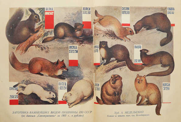 Браун А.А. Животные богатства СССР. Пушные, мехсырьевые и кожсырьевые богатства СССР... Л., 1933.